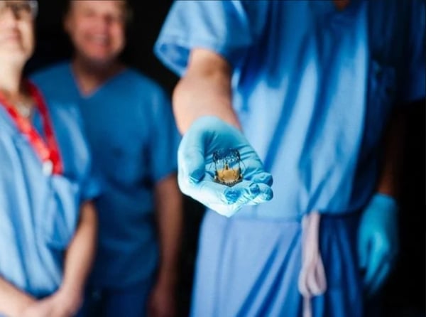 Screenshot_2-10-2025_18552_www.yorkregion.com