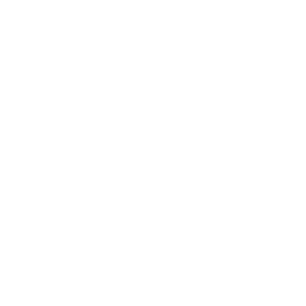 icon-safetyInformation
